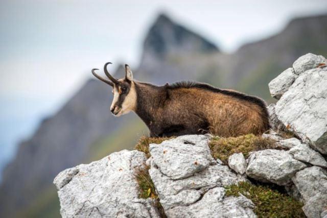 Apartmán Le Refuge Du Poete Saint-François-de-Sales Exteriér fotografie